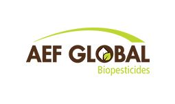 AEF Globale Inc.