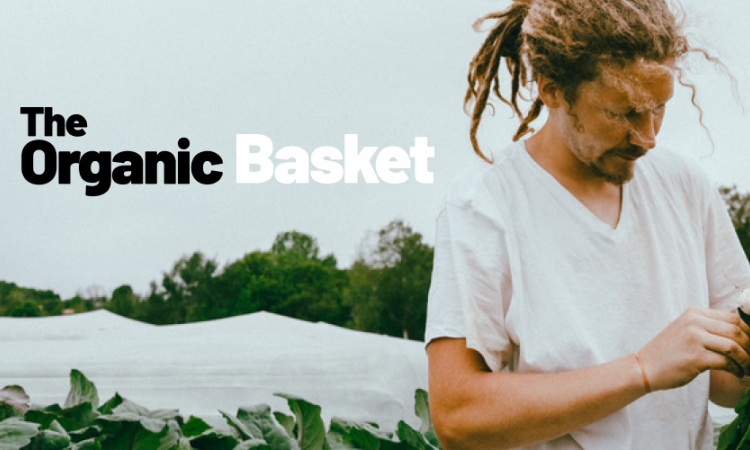 Organic baskets